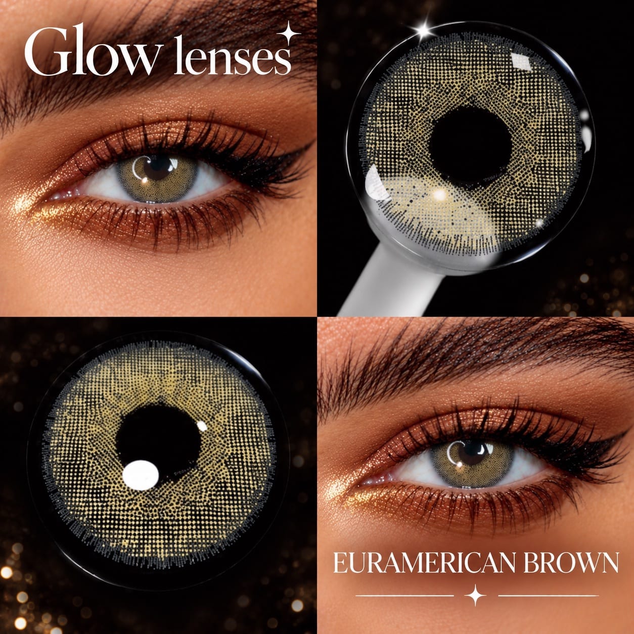 EURAMERICAN BROWN ✦
