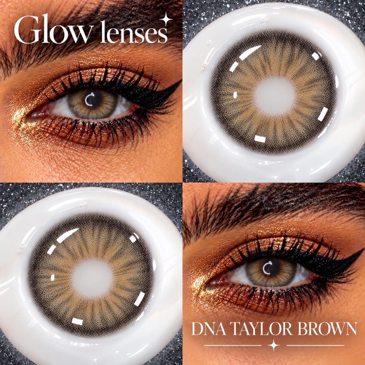 TAYLOR BROWN ✦